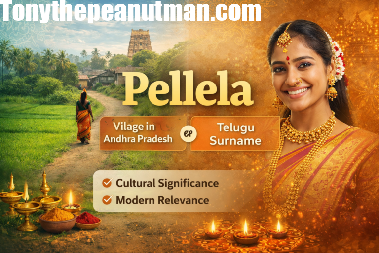 A scenic view of Pellela village showing rural landscapes, traditional houses, and cultural elements.